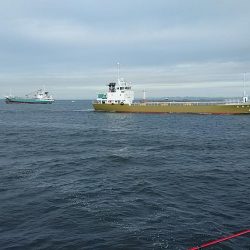 久々の播磨新島へキス釣査