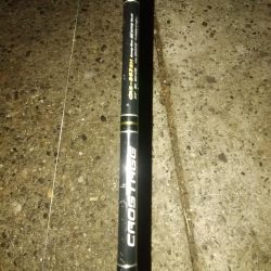 新子がきた～～！