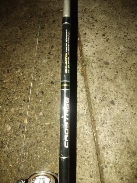 新子がきた～～！