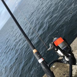 直江津ハッピーにて