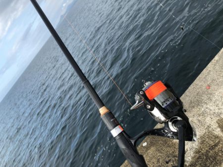 直江津ハッピーにて