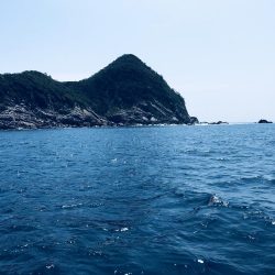 牟岐沖タイラバ海漁丸