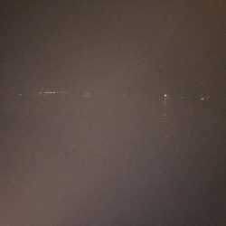 サバにやられて。