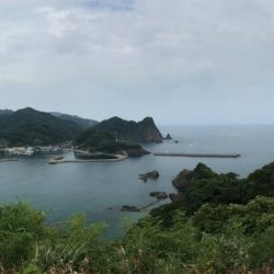 今日はシャロー