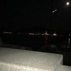 出張先でエギング