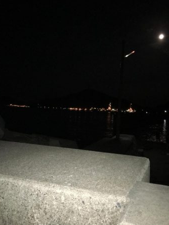 出張先でエギング