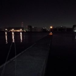 南港フェリーのヘチ釣り （小キビレと小ガシラ釣果だけっす。。）