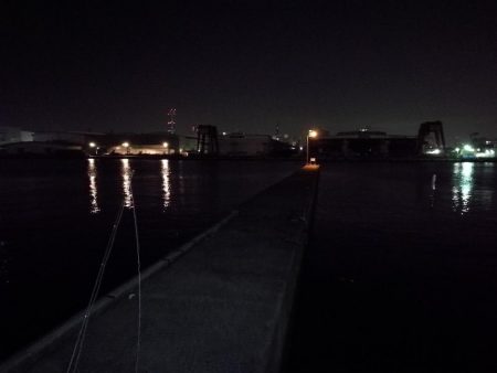 南港フェリーのヘチ釣り （小キビレと小ガシラ釣果だけっす。。）