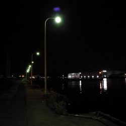 南港フェリーヘチ釣り (小キビレと小ガシラ釣果ぐらい。。)