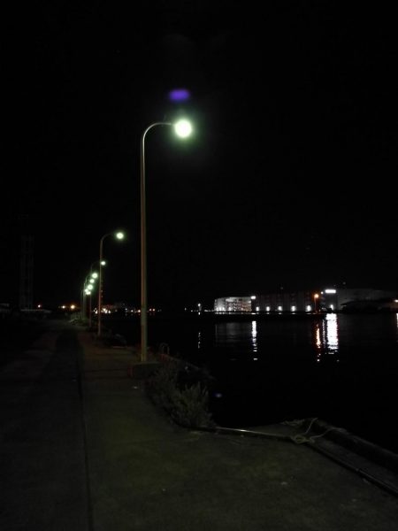 南港フェリーヘチ釣り (小キビレと小ガシラ釣果ぐらい。。)