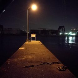 南港フェリーヘチ釣り (小真チヌ、小キビレとガシラ釣果