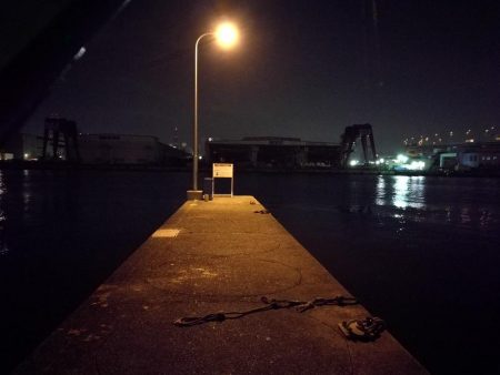 南港フェリーヘチ釣り (小真チヌ、小キビレとガシラ釣果