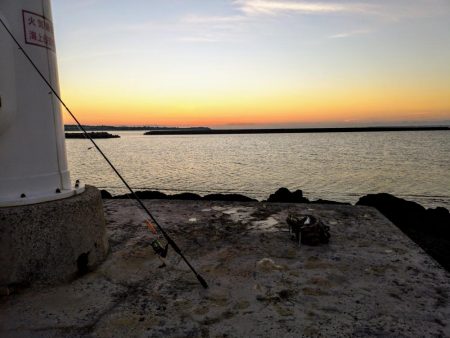 早朝3バイトでギンガメアジ、ワンヒット