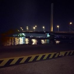 南港カモメ大橋ヘチ釣行 （真チヌ47ｃｍ！ 釣果とその他）