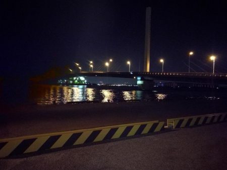 南港カモメ大橋ヘチ釣行 （真チヌ47ｃｍ！ 釣果とその他）