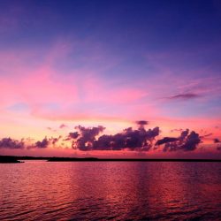 自作ポッパーでロウニンアジ