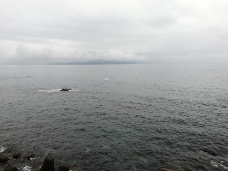 ロックフィッシュからのキス釣り