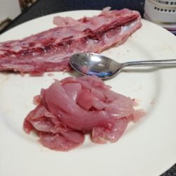 メジロきました！