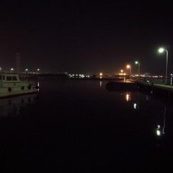 南港フェリーヘチ釣り (真チヌ44cm,キビレ44cm,43cmとガシラ21cm釣果有り)