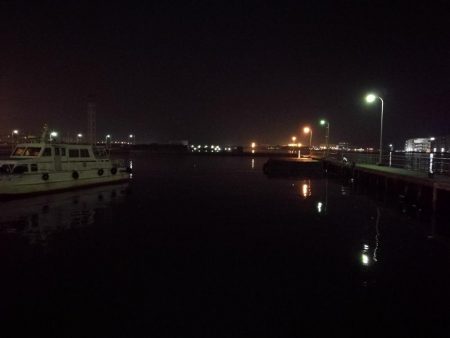 南港フェリーヘチ釣り (真チヌ44cm,キビレ44cm,43cmとガシラ21cm釣果有り)