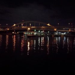 南港フェリーヘチ釣り （キビレ39cm、小真チヌとガシラ釣果）