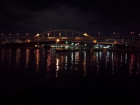 南港フェリーヘチ釣り （キビレ39cm、小真チヌとガシラ釣果）