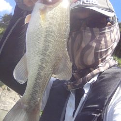 ディープからドン!