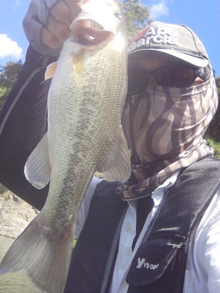 ディープからドン!