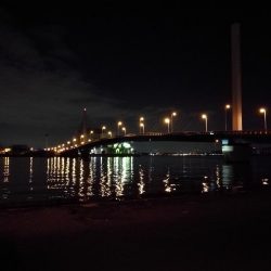 南港カモメ大橋ヘチ釣行 （小真チヌ、小メジナ 釣果他）