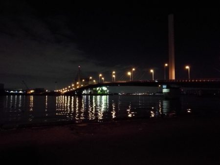 南港カモメ大橋ヘチ釣行 （小真チヌ、小メジナ 釣果他）