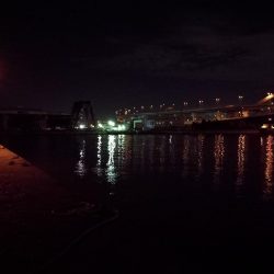 南港フェリーヘチ釣り （キビレ44cm、小真チヌ 釣果）