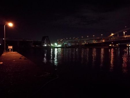 南港フェリーヘチ釣り （キビレ44cm、小真チヌ 釣果）