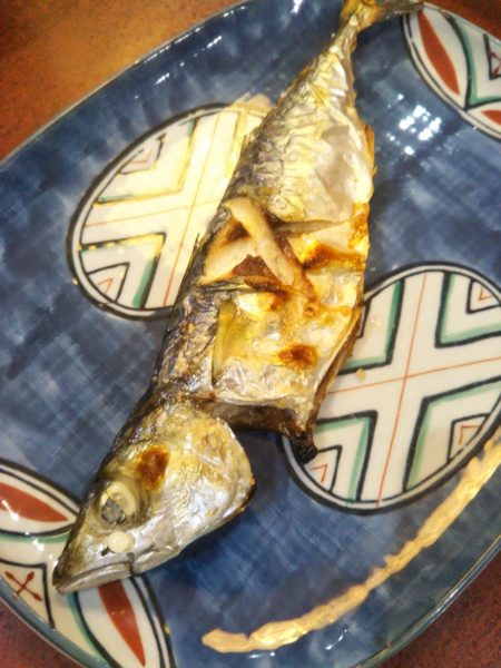 シーサイドコスモ朝マズメ好調