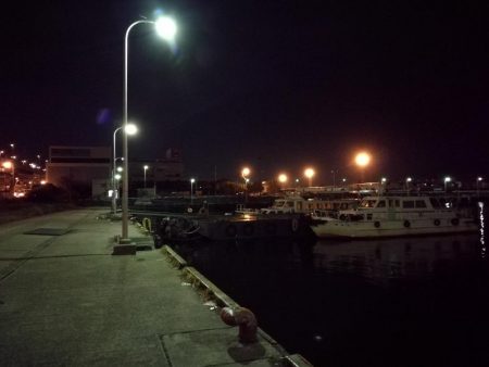 南港フェリーヘチ釣り （続渋め！小キビレ、ウミタナゴ釣果）