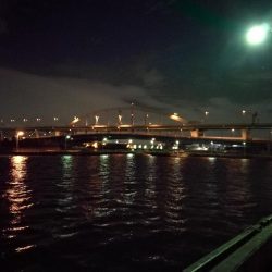 南港フェリーヘチ釣り （台風後の強風ヘチ釣りにて真チヌ、キビレ釣果）