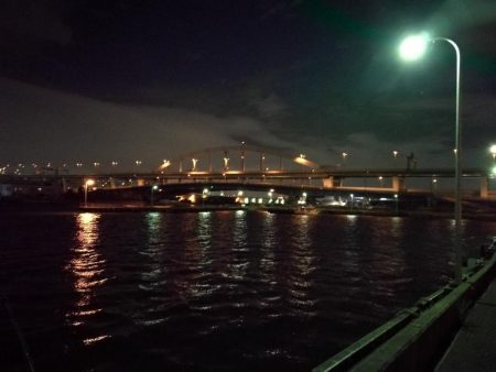 南港フェリーヘチ釣り （台風後の強風ヘチ釣りにて真チヌ、キビレ釣果）