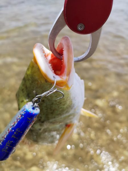 強風でも強行リーフエリア