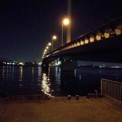 南港カモメ大橋ヘチ釣行 (キビレ40cm、小真チヌ、 釣果他)