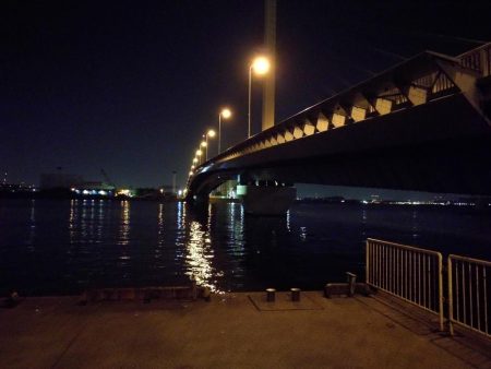 南港カモメ大橋ヘチ釣行 (キビレ40cm、小真チヌ、 釣果他)