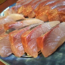 台風後の明石ジギングで青物