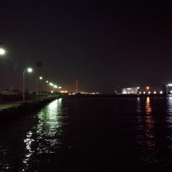 南港フェリーヘチ釣り （小キビレ、ガシラ釣果）