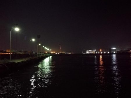 南港フェリーヘチ釣り （小キビレ、ガシラ釣果）