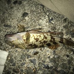 青流して自己記録更新！