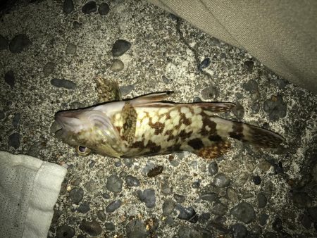 青流して自己記録更新！