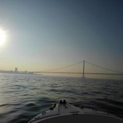 アコウ狙いの青物釣り