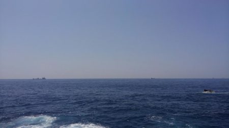 シイラどこよ？