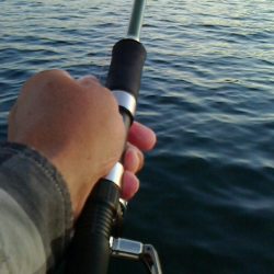 ボウズに近い釣果;;