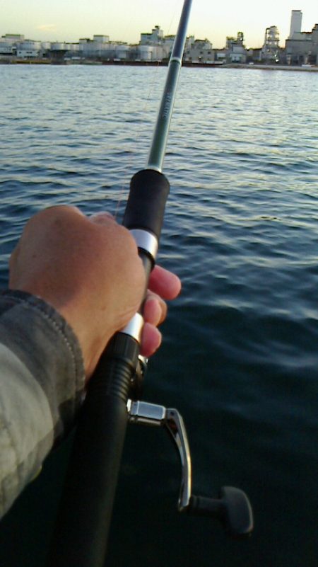 ボウズに近い釣果;;