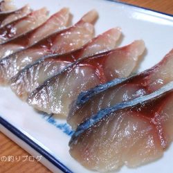 大サバフィーバー!!