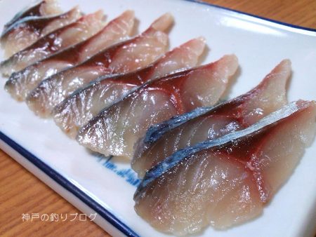 大サバフィーバー!!